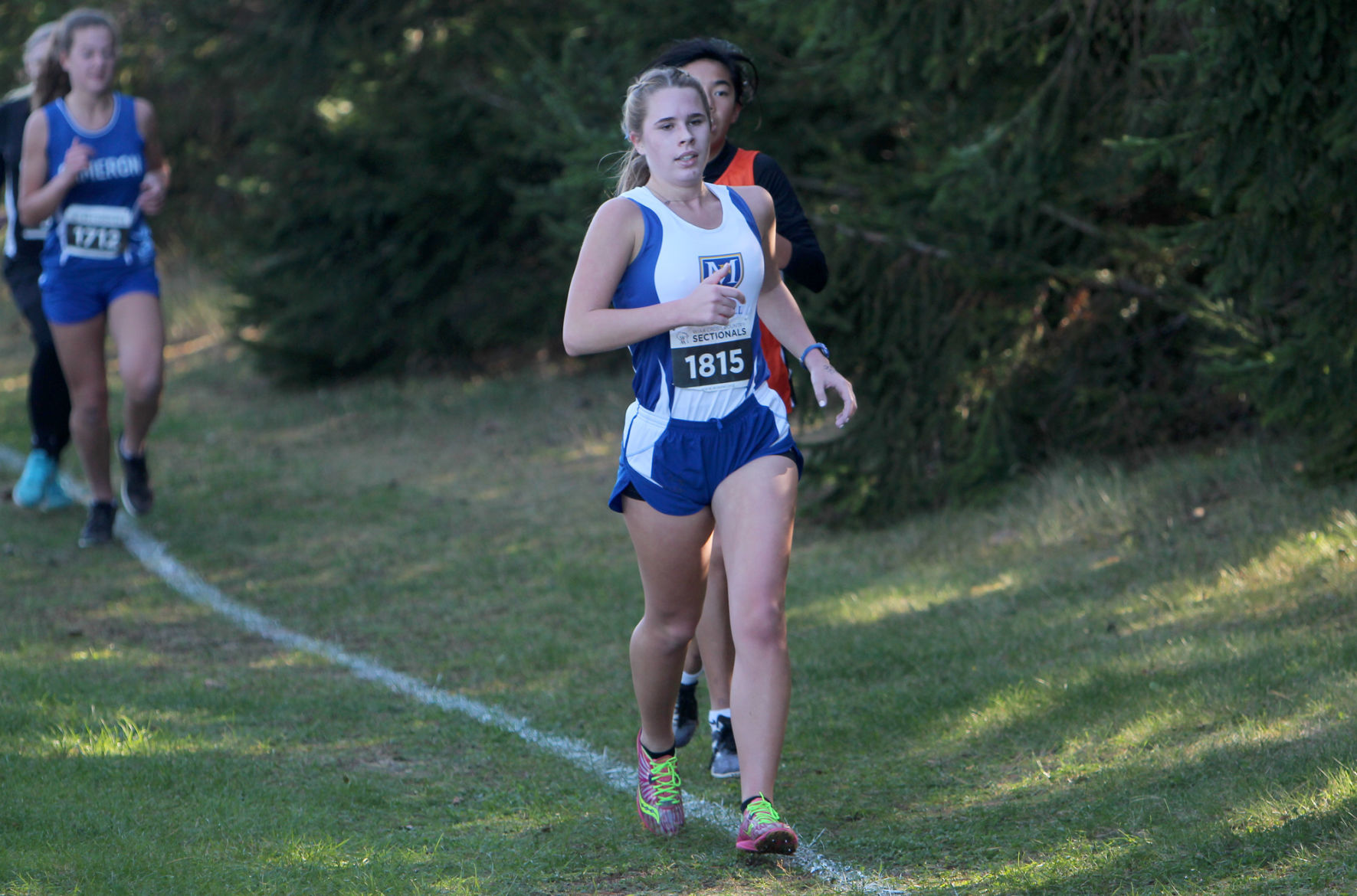 Division 3 Cross Country Sectionals in Boyceville 10-26-19